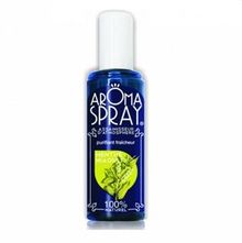 AROMASPRAY Spray Purifiant Fra&icirc;cheur Menthe Niaouli 100ml