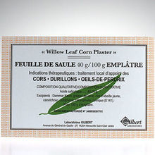 Feuille de saule Empl&acirc;tre