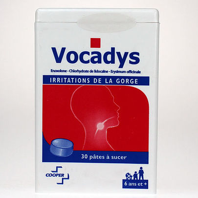 Vocadys 30 p&acirc;tes &agrave; sucer