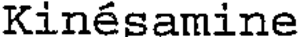 Kin&eacute;samine